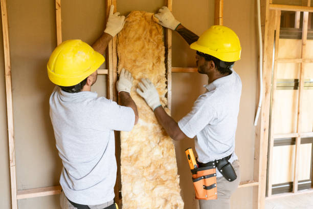 Best Basement Insulation  in South Paris, ME